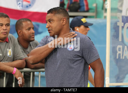 Salvador, Brésil. 26 mai, 2019. Roger Machado, entraîneur de Bahia, pendant un match entre Bahia et Fluminense, un match validé par la 6ème manche du Championnat brésilien de série A, ce dimanche (26), à l'Arena Fonte Nova à Salvador, Bahia. Credit : Tiago Caldas/FotoArena/Alamy Live News Banque D'Images