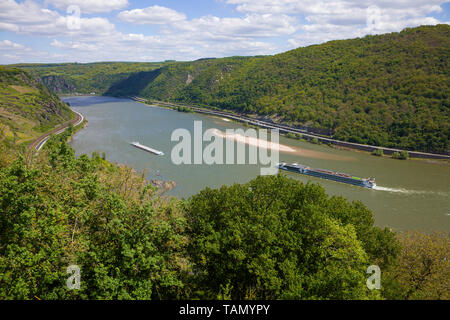 Hôtel bateau sur le Rhin à Oberwesel, site du patrimoine mondial de l'UNESCO, Vallée du Haut-Rhin moyen, Rhénanie-Palatinat, Allemagne Banque D'Images