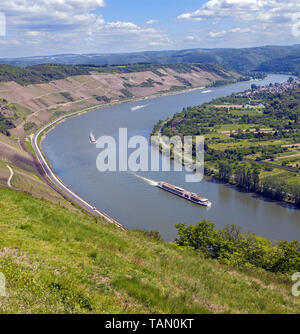 Vue partielle de la grande boucle (Rheinschleife Bopparder Hamm) rhin Boppard, Vallée du Haut-Rhin moyen, Rhénanie-Palatinat, Allemagne Banque D'Images