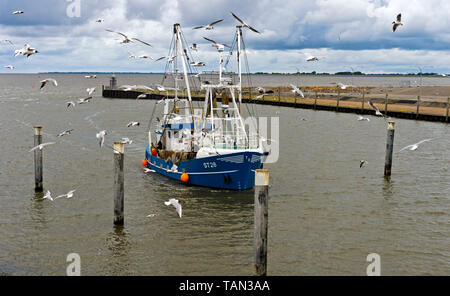 Trawler ST 28 Saalbach i entrant dans l'embouchure de la rivière Eider, Tönning, Schleswig-Holstein, Allemagne Banque D'Images