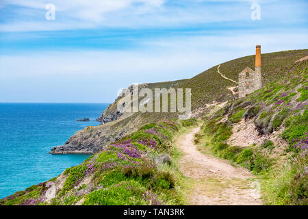 Ancienne mine d'étain sur le sentier côtier, côte nord des Cornouailles, Angleterre Banque D'Images