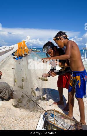 Pêcheur prend la capture dans la filet de pêche, Bounty beach, Malapascua Island, Cebu, Philippines Banque D'Images