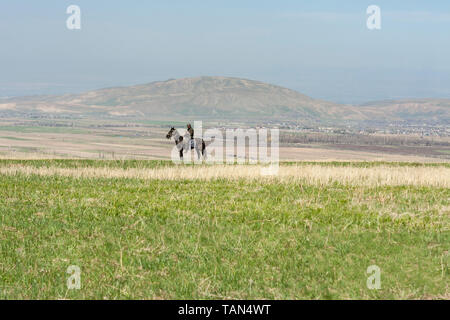 Un éleveur moderne sur son cheval contrôler son téléphone portable tout en surveillant son troupeau de moutons () près de Bichkek dans les steppes du Kirghizstan, en Asie centrale Banque D'Images