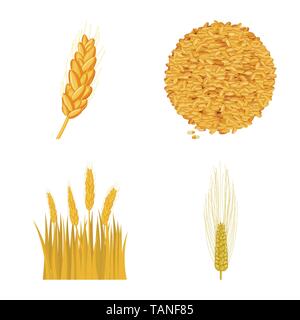 L'orge de printemps,spike,graines,dur,Culture,hiver,farine,terre, pain, céréales,graines,maïs,oreille,son,campagne,,golden,automne,venu,alimentation,or,rural,blé,maïs,avoine céréales,récolte,ferme,terrain,agriculture,agriculture,seigle,plantes,,set,icône,,illustration,collection,isolé,design,graphisme,élément signe,caricature,couleur,vecteurs vecteur, , Illustration de Vecteur