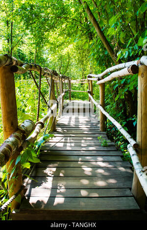 La nature paisible sentier en bois en forêt. Banque D'Images