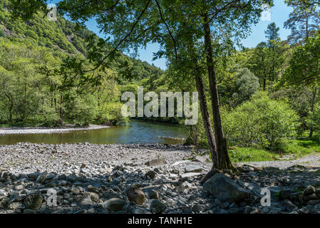 Derwent fonctionnant à travers bas bois de ho près de Grange-de-Borrowdale Banque D'Images