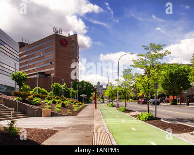 Syracuse, New York, USA. Avenue de l'Université , sur la Syracuse University Hill , à l'égard du sud et Marshall Adams rues le beau printemps d Banque D'Images