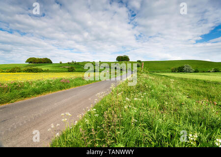 Hackpen Hill et son cheval blanc près de Swindon dans la campagne du Wiltshire Banque D'Images