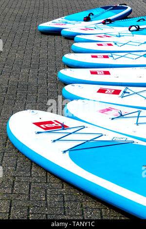 Paddle boards disposés sur le terrain Banque D'Images