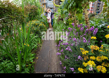 Londres, Royaume-Uni. 26 mai 2019. Le jardin flottant unique Barge Square à Downings Road Moorings (également connu sous le nom de Tower Bridge Moorings) sur la Tamise, ouvert au public en vertu de la National Gardens Scheme (NGS). Le jardin se compose de carrés Barge plus de 30 bateaux historique offrant des logements abordables et des studios pour plus de 70 personnes autour d'une infrastructure de jardins flottants et d'enchaînement des passerelles. La Barge de jardin Square est à seulement une courte distance de Tower Bridge. Cette ouverture a été le seul à avoir lieu au cours de 2019. Crédit : Stephen Bell/Alamy Stock Photo. Banque D'Images