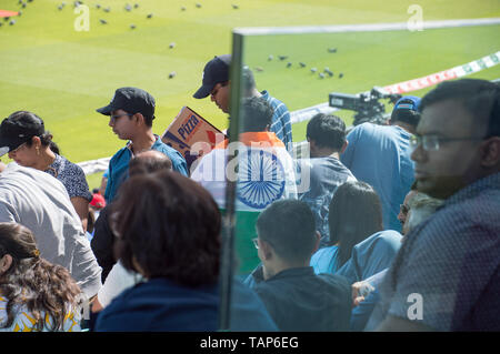 Cpi 2019 Inde vs NewZeland réchauffer match à l'ovale, Londres Kia Banque D'Images