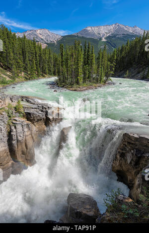 La Sunwapta Falls, rivière Athabasca dans le Parc National de Jasper, Canada. Banque D'Images