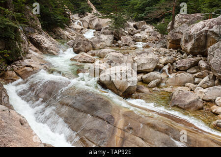 Rivière et forêt de montagne, le Mont Kumgang, région touristique, région administrative spéciale de la Corée du Nord Banque D'Images