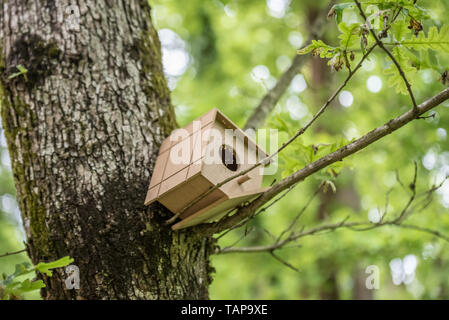 Nid fait main pend sur un arbre.Handmade wooden birdhouse sur un arbre pour la protection des oiseaux.printemps paysage avec zone de nidification des oiseaux sur un arbre Banque D'Images