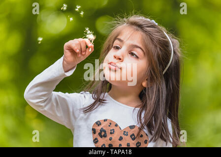 Portrait en extérieur de 4 ans adorable cute little girl blowing un pissenlit fleur sauvage à meadow in a sunny day Banque D'Images