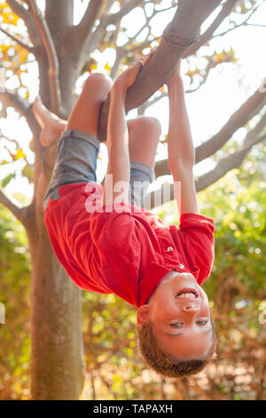 Portrait de jeune garçon insouciant tête en bas d'un arbre dans un parc bénéficiant d'été Banque D'Images
