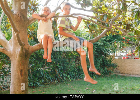 Portrait de frère et soeur assis sur un arbre dans un jardin d'été profiter de l'été Banque D'Images