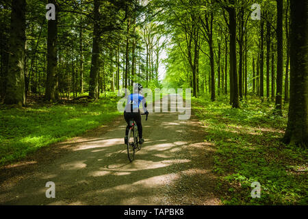 Femelle adulte cyclist riding entre forêt au Danemark. Banque D'Images