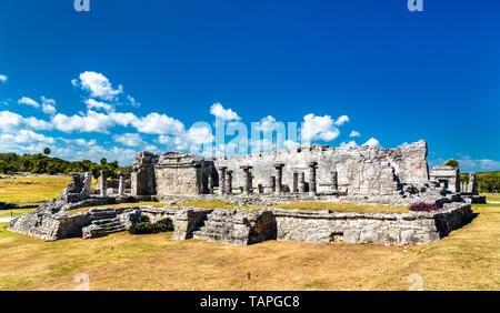 Ruines mayas à Tulum au Mexique Banque D'Images