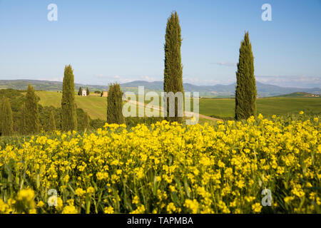 Cappella Madonna di Vitaleta chapelle, San Quirico d'Orcia, Province de Sienne, Toscane, Italie, Europe Banque D'Images