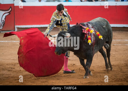 Torero espagnol Paco Urena effectue avec un taureau dans l'arène Plaza de Toros 3 Mars, 2018 à San Miguel de Allende, Mexique. Banque D'Images