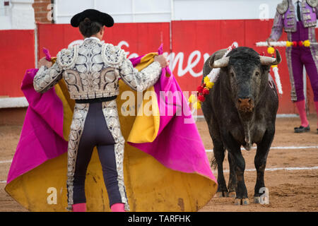 Torero espagnol Paco Urena effectue avec un taureau dans l'arène Plaza de Toros 3 Mars, 2018 à San Miguel de Allende, Mexique. Banque D'Images