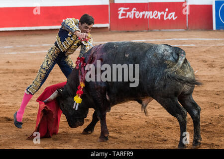Torero espagnol Paco Urena enfonce sa épée dans bull à l'arène Plaza de Toros 3 Mars, 2018 à San Miguel de Allende, Mexique. Banque D'Images