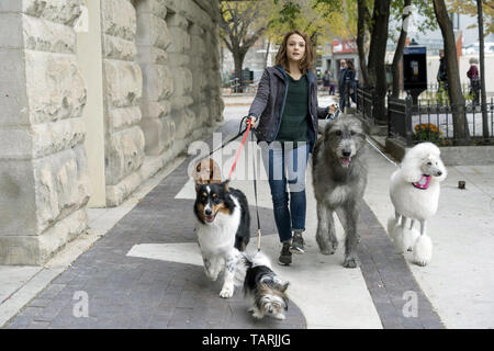 Le parcours d'un chien est un 2019 American Comedy-drama film directed by Gail Mancuso et écrit par W. Bruce Cameron, Cathryn Michon, Maya Forbes, et Wally Wolodarsky. Le film est basé sur le roman 2012 du même nom par Cameron, et une suite du film de 2017 un chien au but. Le film stars Josh Gad, Dennis Quaid, Marg Helgenberger, Betty Gilpin, Kathryn Prescott, et Henry Lau. Cette photo est pour un usage éditorial uniquement et est l'auteur de la société film et/ou le photographe attribué par le film ou la société de production et ne peut être reproduite que par des publications en collaboration avec le p Banque D'Images