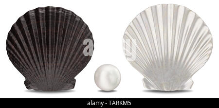 Set de perles, coquillages de mer, côté intérieur et extérieur isolé sur fond blanc avec l'ombre. Sea Shell vue avant. Gemme, bijoux pour femmes, perles de nacre. J'ai 3D Banque D'Images
