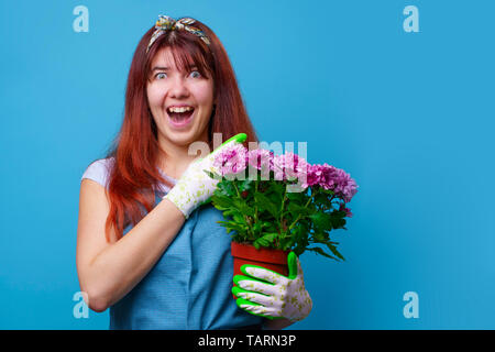 Image de la femme avec chrysanthème doigt à côté sur fond bleu blanc Banque D'Images