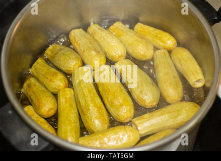 Un plat de courgettes farcies au riz et à la viande est en cours de cuisson. Banque D'Images