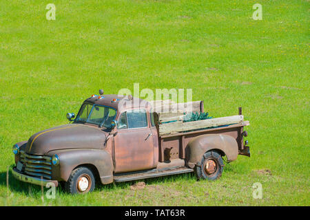 Old vintage camion rouillé dans champ vert dans le nord du Wisconsin Banque D'Images