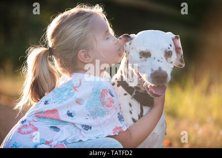 Dalmatien et fille Banque D'Images