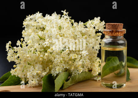 De belles fleurs de sureau et médicinales jus dans une bouteille. Remèdes à la maison normaux pour le rhume. Fond sombre. Banque D'Images