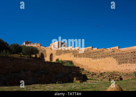 Vue sur les cigognes dans les ruines de l'Chellah ou Shalla, une nécropole musulmane situé dans la région métropolitaine de Rabat, Maroc Banque D'Images