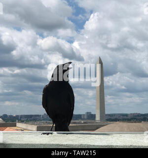 Washington, DC, USA. 27 mai, 2019. Photo prise avec un téléphone portable montre un oiseau posé sur le haut d'un immeuble près du Monument de Washington à Washington, DC, États-Unis, le 27 mai 2019. Credit : Liu Jie/Xinhua/Alamy Live News Banque D'Images