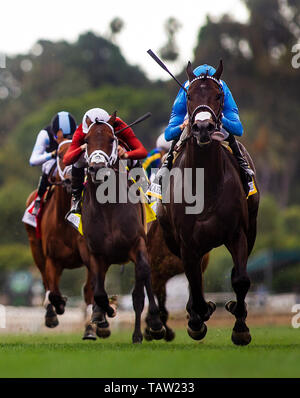Arcadia, Californie, USA. 27 mai, 2019. 18 mai : Bolo avec Florent Geroux remporte le cordonnier Mile à Santa Anita à Santa Anita Park à Arcadia, Californie le 27 mai 2019. Evers/Eclipse Sportswire/CSM/Alamy Live News Banque D'Images