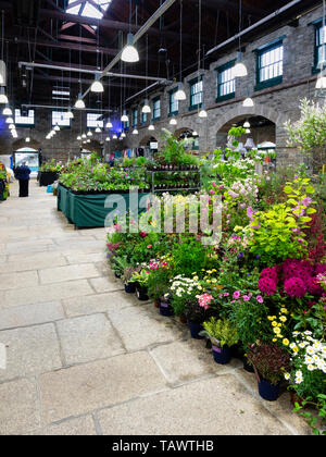 Cale pour Tavistock Garden Festival, mai 2019, lors de l'historique Bâtiment victorien dans le marché de Pannier Devon, UK town Banque D'Images