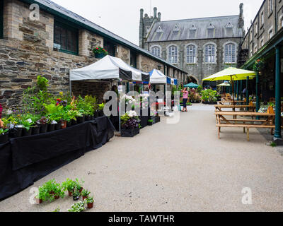 Cale pour Tavistock Garden Festival, mai 2019, lors de l'historique Bâtiment victorien dans le marché de Pannier Devon, UK town Banque D'Images