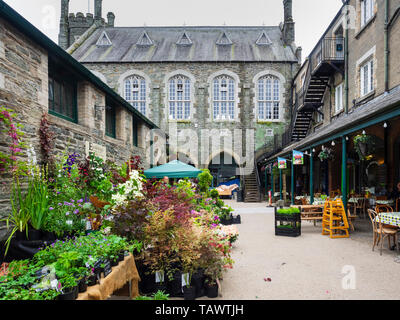 Cale pour Tavistock Garden Festival, mai 2019, lors de l'historique Bâtiment victorien dans le marché de Pannier Devon, UK town Banque D'Images