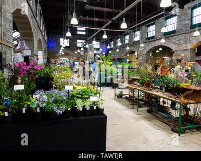 Cale pour Tavistock Garden Festival, mai 2019, lors de l'historique Bâtiment victorien dans le marché de Pannier Devon, UK town Banque D'Images