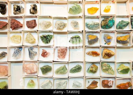 Vue de dessus d'échantillons de roches et minéraux précieux dans de petites boîtes à une foire commerciale avec la lumière artificielle Banque D'Images