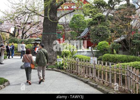 TOKYO, JAPON - 13 avril 2012 : visite des jardins de temple Sensoji à Asakusa, Tokyo district. Tokyo est la ville la plus visitée au Japon. Le Japon a 8.3 Banque D'Images