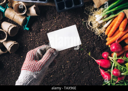 Carte des maquettes pour les produits cultivés, homme de culture en tenant la carte jardinier plus de légumes récoltés et équipement de jardinage Banque D'Images