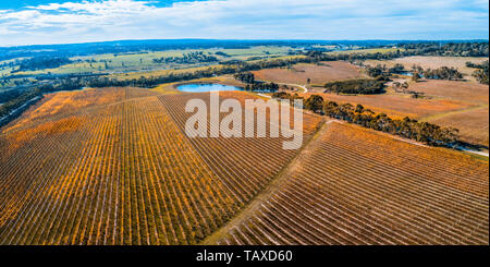 Vaste panorama pittoresque de grande winery en automne près de Red Hill, Victoria, Australie Banque D'Images