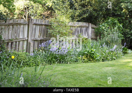 Vieille clôture en bois dans un jardin de banlieue à Londres, Royaume-Uni Banque D'Images