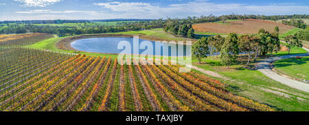 Panorama de l'antenne de vignoble et sur l'étang belle journée ensoleillée à l'automne. Péninsule de Mornington, Australie Banque D'Images