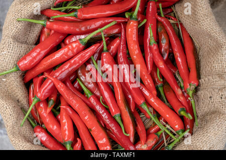 Piment rouge pour vendre dans la rue du marché traditionnel d'Ubud, Bali, Indonésie , close up Banque D'Images