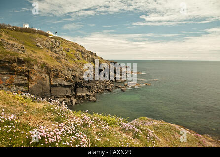 Le cap Lizard, Cornwall, UK Banque D'Images