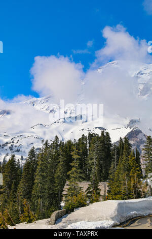 Paradis, Mount Rainier National Park Banque D'Images